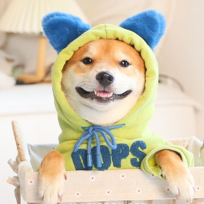 Gousy Paneled Rabbit Ears Sweater Hoodie Gousy