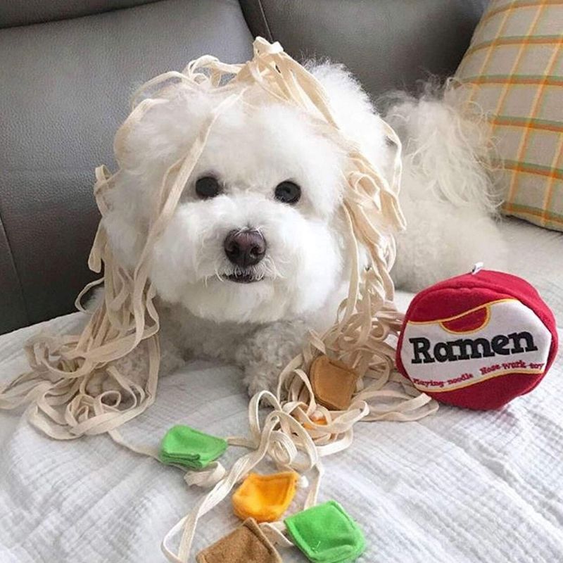 Gousy Ramen Interactive Puzzle Dog Toys Gousy