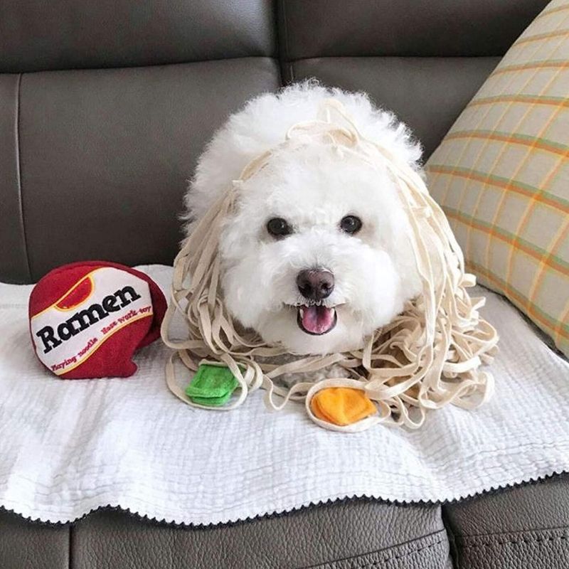 Gousy Ramen Interactive Puzzle Dog Toys Gousy