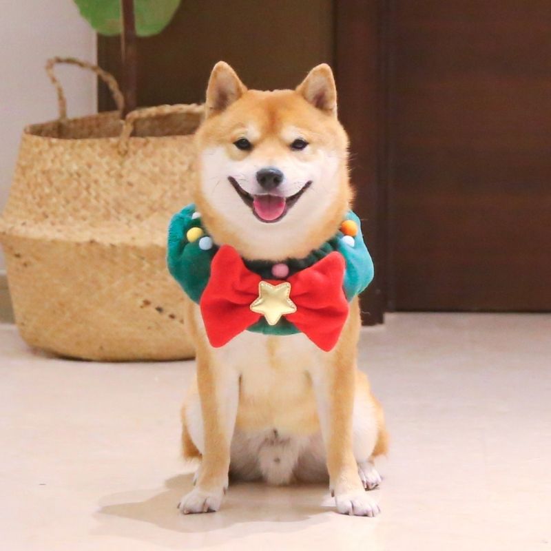Gousy Christmas Tree Vibe Scarf Gousy