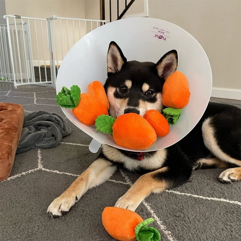 Gousy Carrot Puzzle Dog Squeaky Plush Toy Gousy