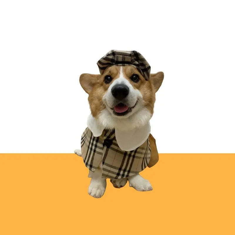 Gousy British style cloak with hat Gousy