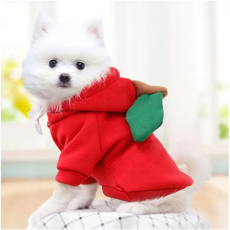 Gousy Fruit Outfit Small Pet Apple Hoodie Sweater Gousy