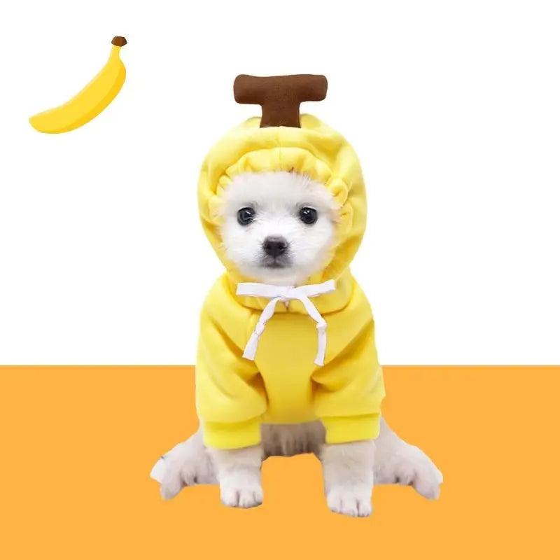 Gousy Fruit Outfit Small Pet Banana Hoodie Sweater Gousy