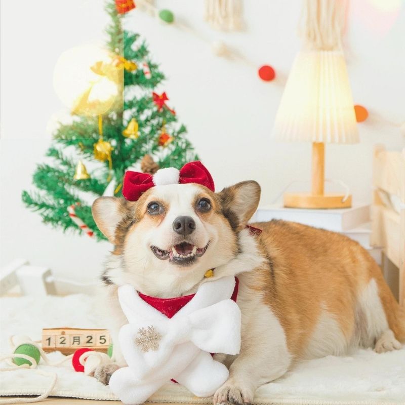 Gousy Christmas Vibe Hat and scarf set Gousy