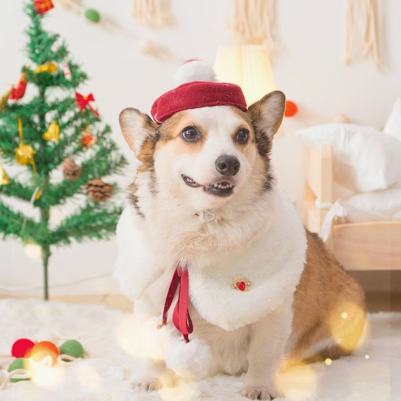 Gousy Christmas Vibe Hat and scarf set Gousy