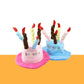 Gousy pet birthday cake hat Gousy