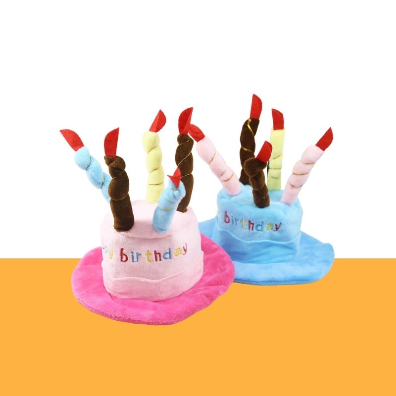 Gousy pet birthday cake hat Gousy