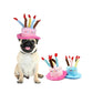 Gousy pet birthday cake hat Gousy