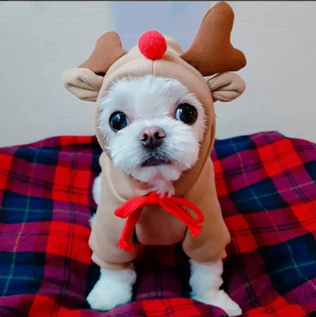 Gousy Animal Outfit Small Pet Elk Hoodie Sweater Gousy