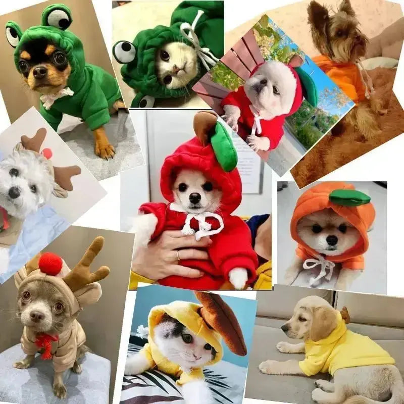 Gousy Animal Outfit Small Pet Frog Hoodie Sweater的副本 Gousy