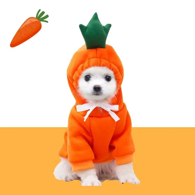 Gousy Fruit Outfit Small Pet Carrot Hoodie Sweater Gousy