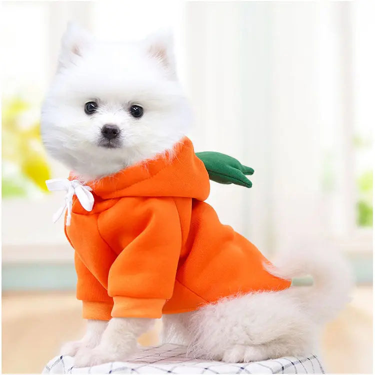 Gousy Fruit Outfit Small Pet Carrot Hoodie Sweater Gousy