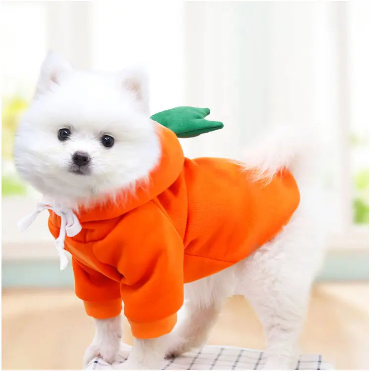 Gousy Fruit Outfit Small Pet Carrot Hoodie Sweater Gousy