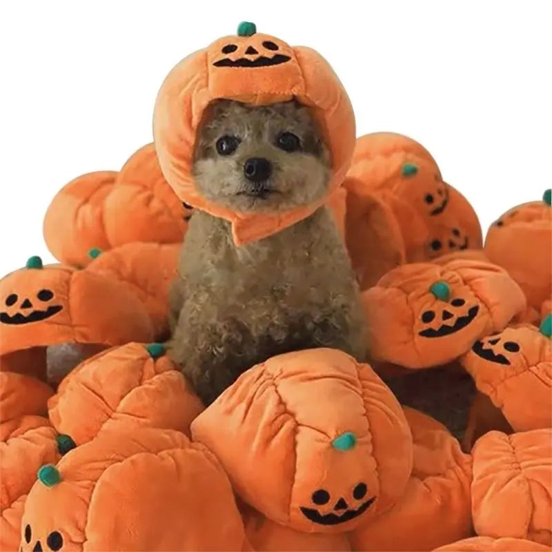 Gousy Pet Halloween Pumpkin Hat Gousy