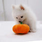 Gousy Pet Halloween Pumpkin Plush Squeaky Toy Gousy