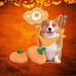 Gousy Pet Halloween Pumpkin Plush Squeaky Toy Gousy