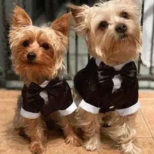 Gousy Pet Shirt Wedding Bow Tie Suit Gousy