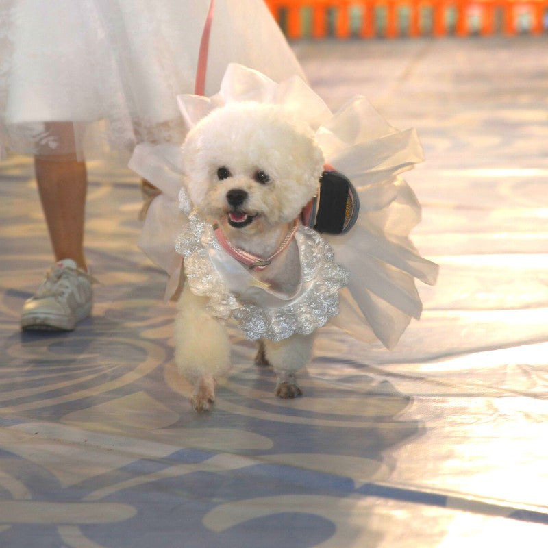 Gousy Small Pet Princess Wedding Dress Gousy